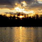 Baggersee