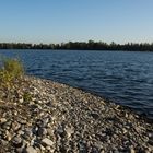 Baggersee