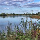 Baggersee Anreppen