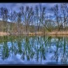 Baggersee bei Kirchentellinsfurt