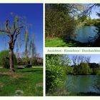 Baggersee bei Neckarhausen