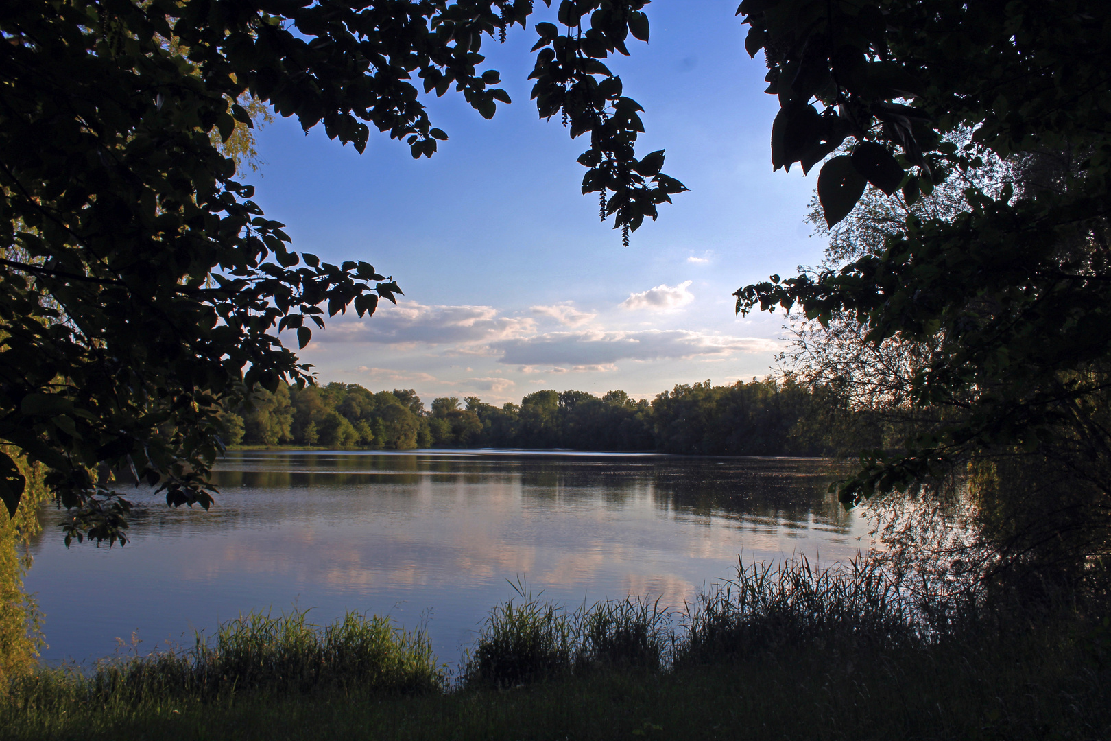 Baggersee "Gänsekopf" bei ("Brandgraben") Sondernheim ...
