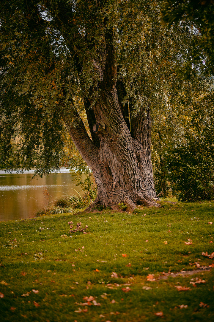 Baggersee Happurg