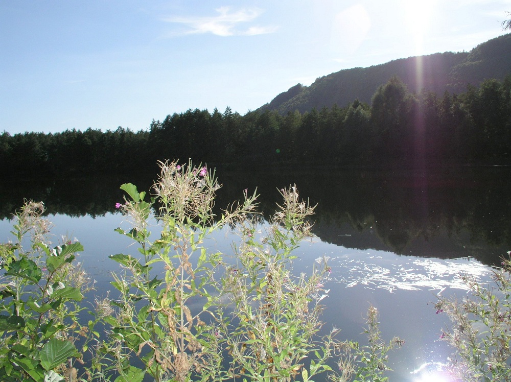 BAGGERSEE HÖXTER im Sonnenlicht