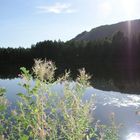 BAGGERSEE HÖXTER im Sonnenlicht