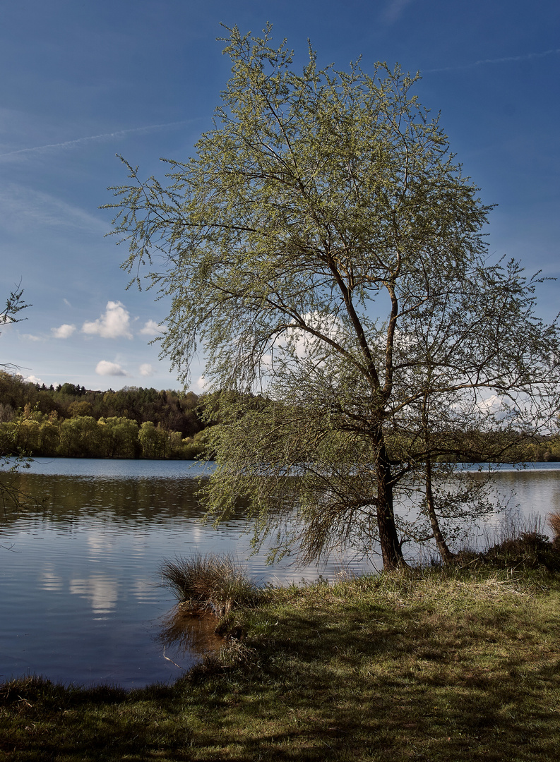 Baggersee Idylle 1