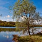 Baggersee Idylle 1