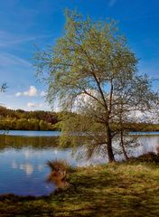 Baggersee Idylle 1