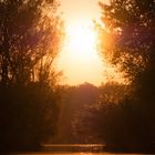 Baggersee im Herbst