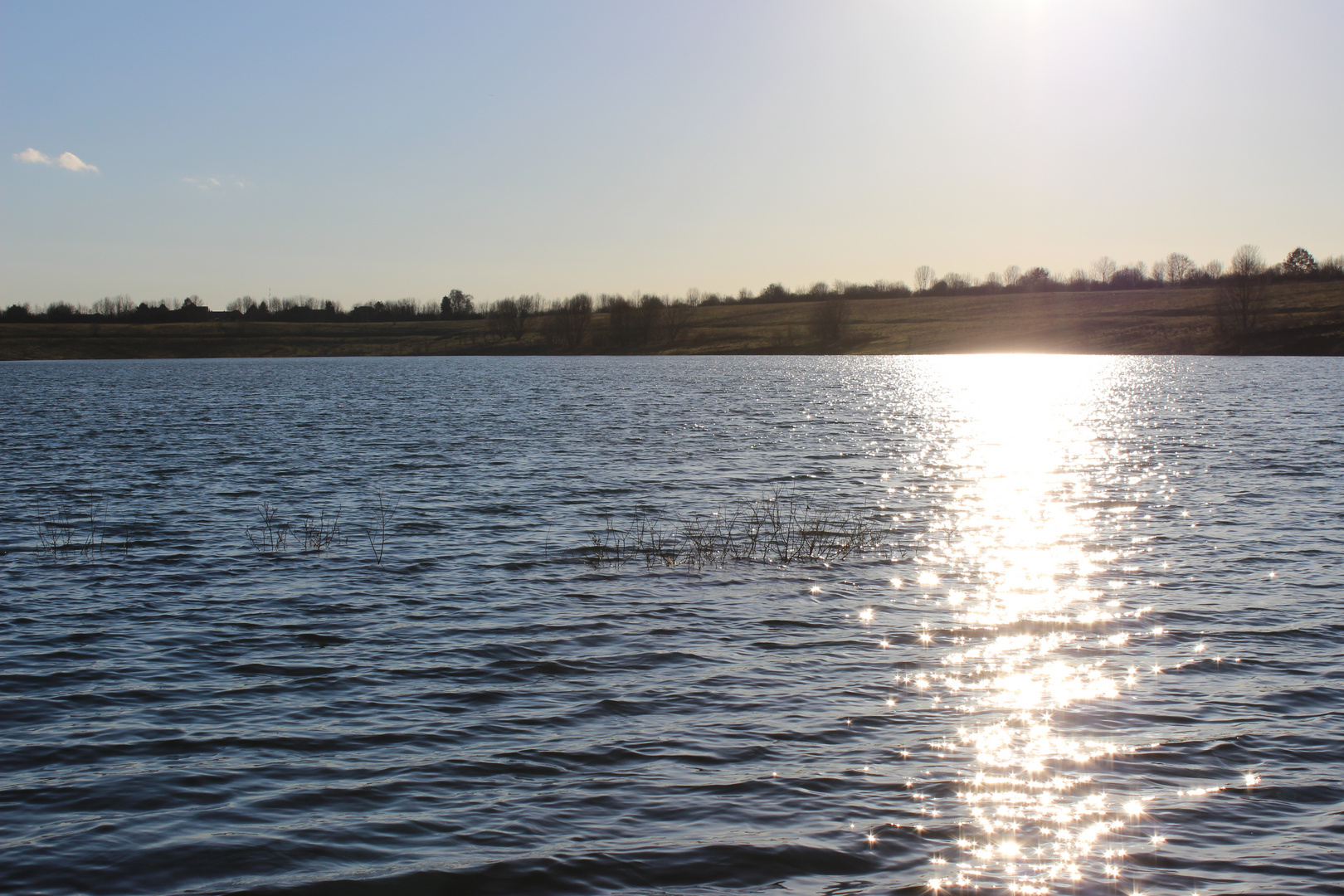 Baggersee im Januar 2014