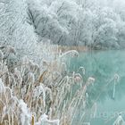 Baggersee im Winter