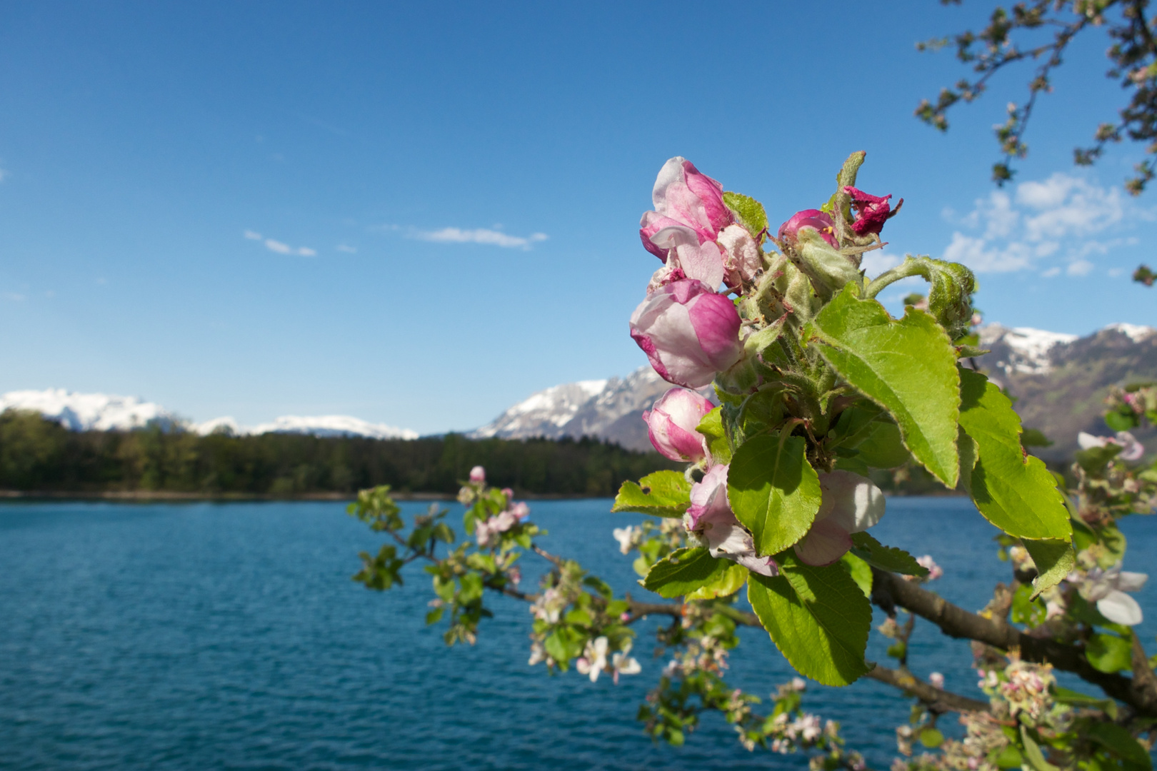 Baggersee Rankweil1