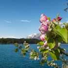 Baggersee Rankweil1