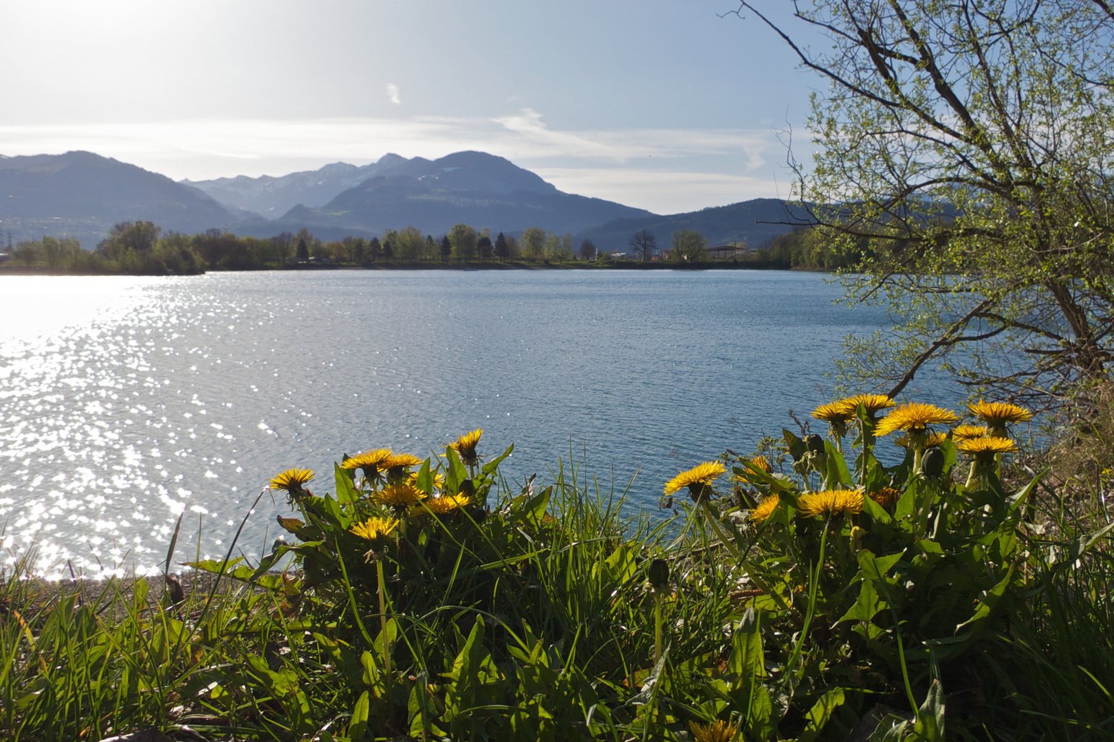 Baggersee Rankweil16