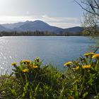 Baggersee Rankweil16