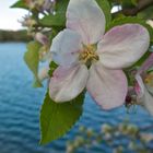 Baggersee Rankweil2