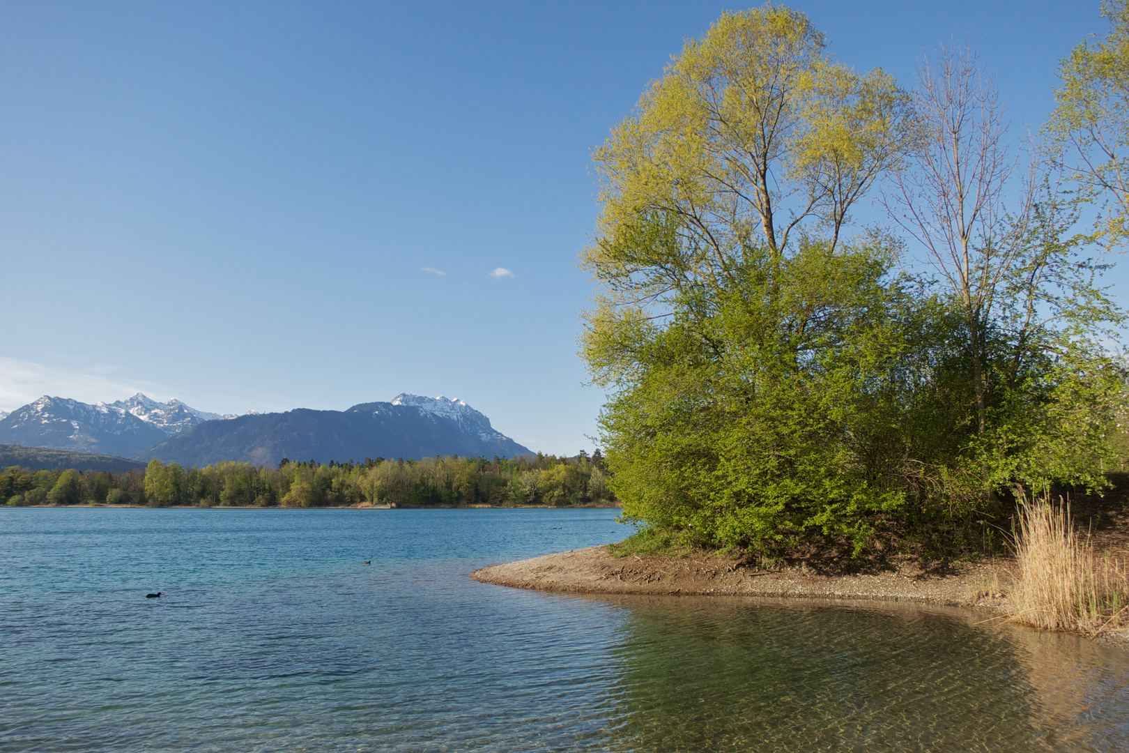 Baggersee Rankweil3