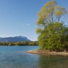 Baggersee Rankweil3