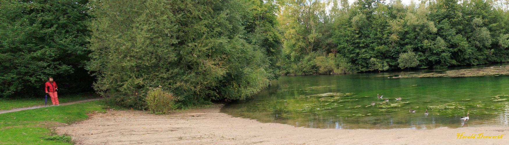 BaggerseeRundweg Foto & Bild landschaft, bach, fluss & see, see