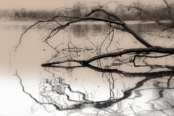 BaggerseeBurkheim-a.K. 