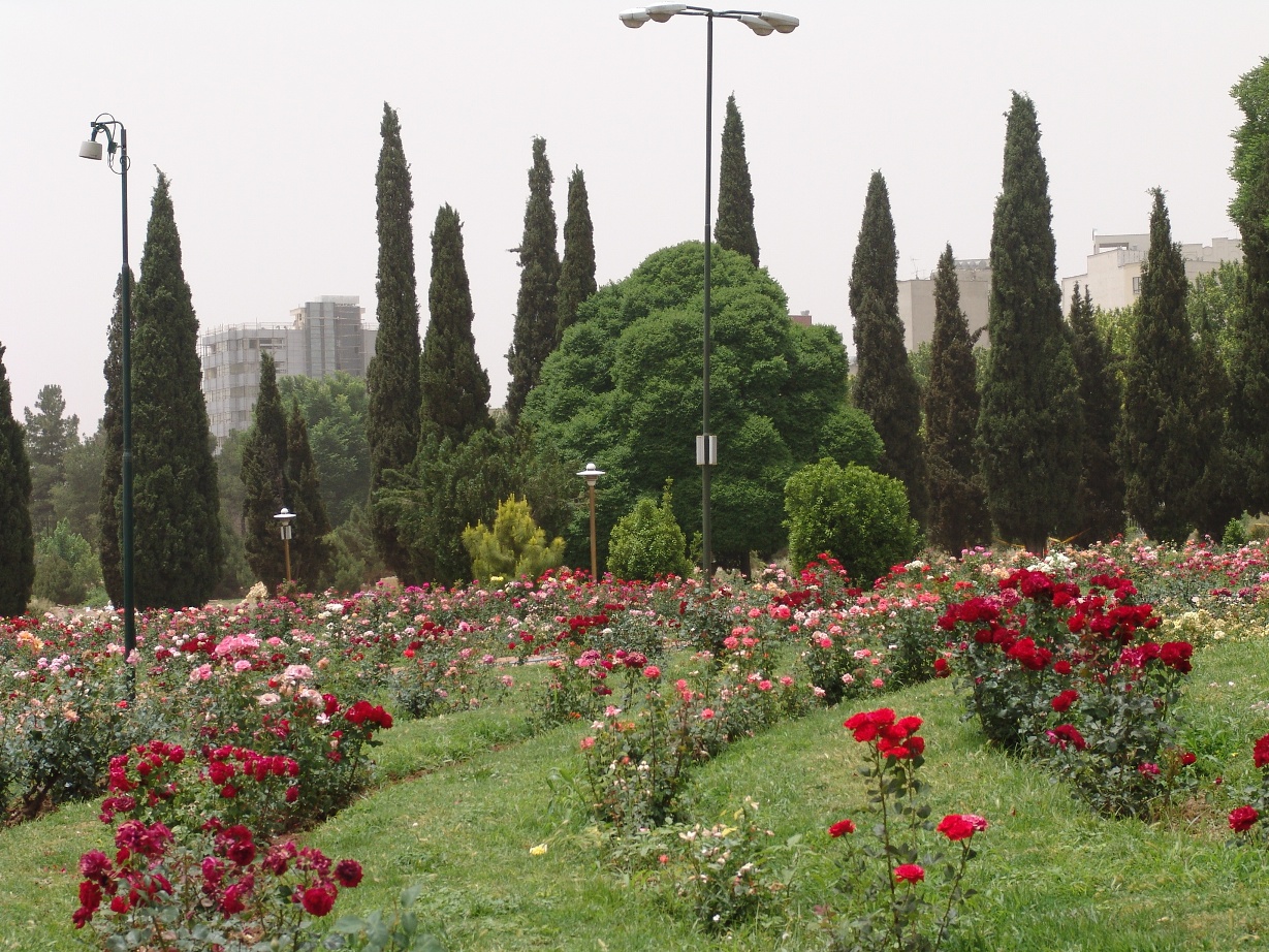 Bagh Eram Shiraz 2