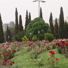 Bagh Eram Shiraz 2