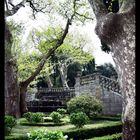 Bagnaia(VT) - Villa Farnese