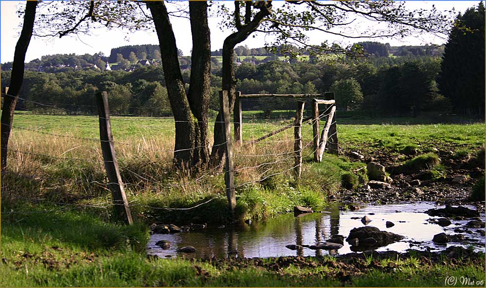 bagno del piede per le mucche / Fussbad für Kühe