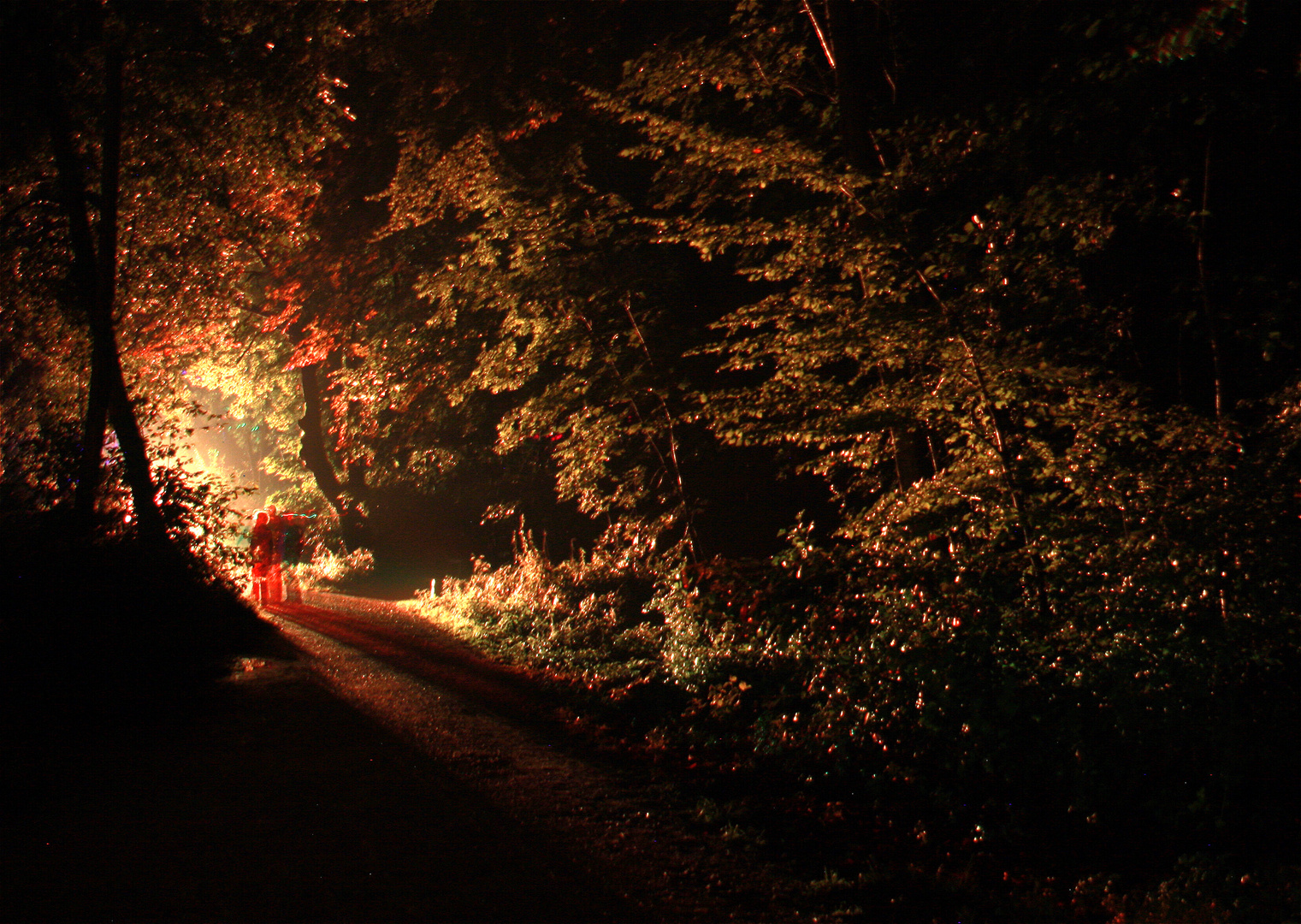 Bagno Waldlichter am nacht