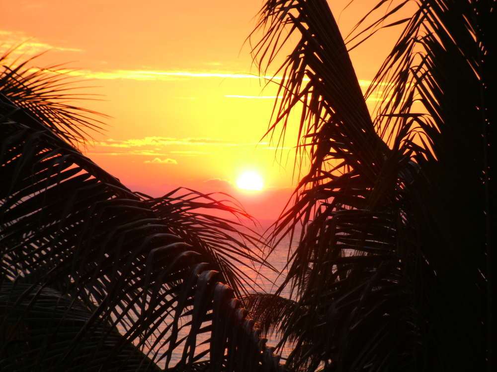 Bahama Sunset