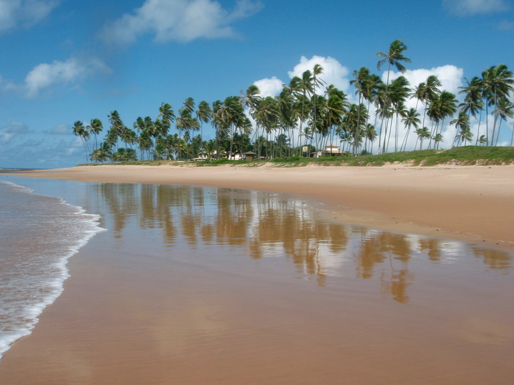 BAHIA - COCCONUTS COAST