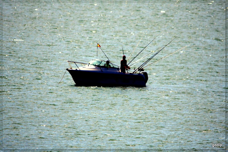 Bahía de Cádiz