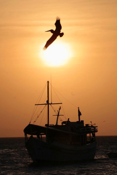 Bahia de Juan Griego