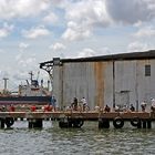 Bahia de la Habana