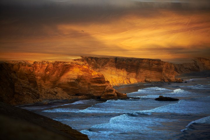 Bahia de Paracas