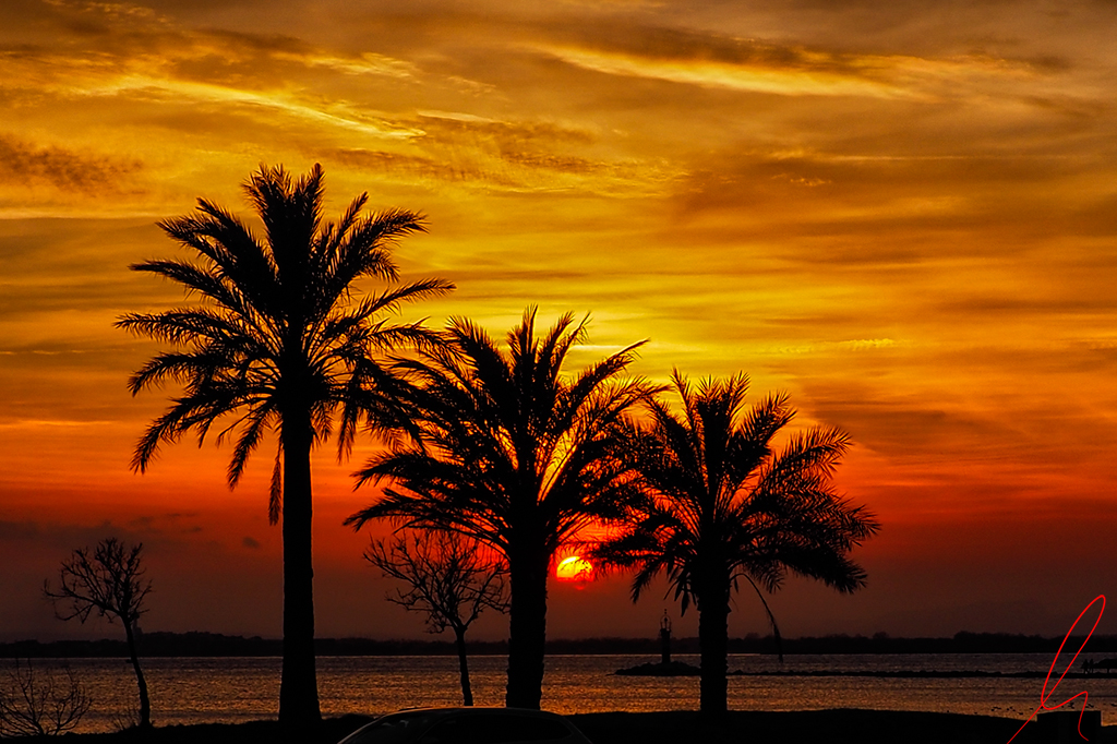 Bahia de Roses