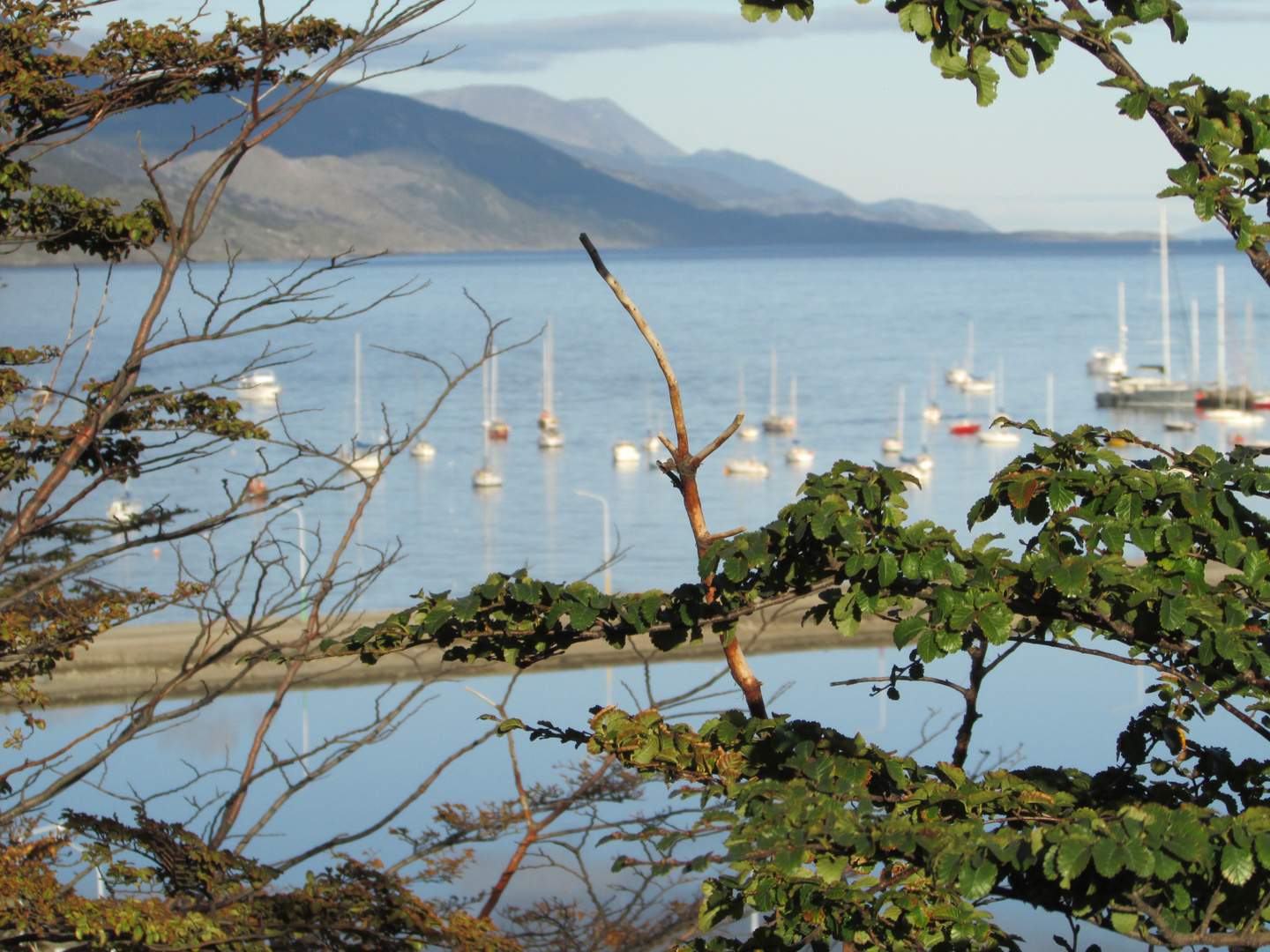 Bahia de Ushuaia