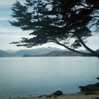 Bahia Ensenada, Tierra del fuego