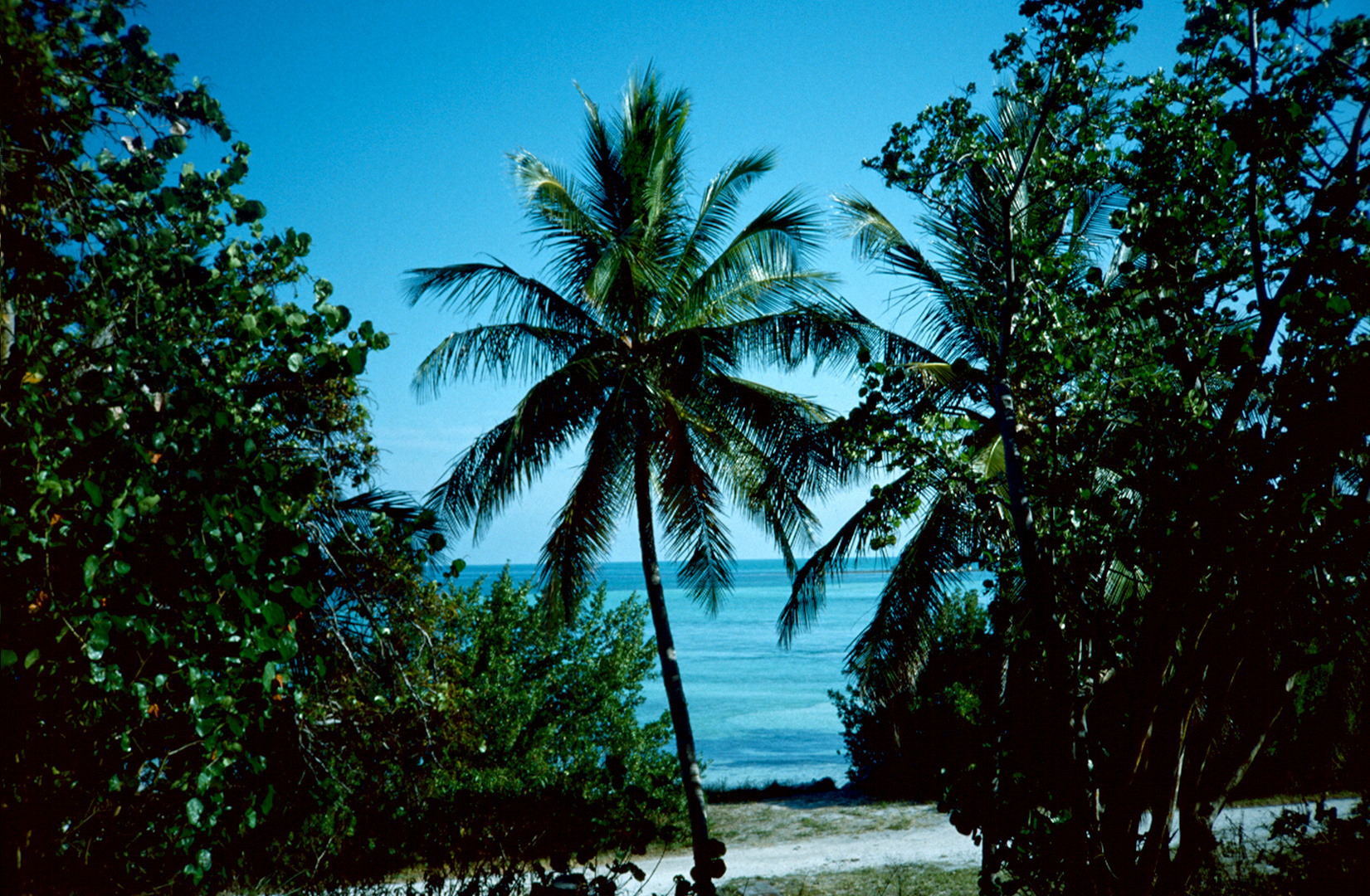 Bahia Honda Key, FL - 1989