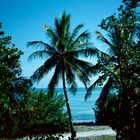 Bahia Honda Key, FL - 1989