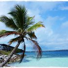 Bahia Honda State Park - Florida Keys