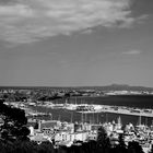 Bahía Palma de Mallorca