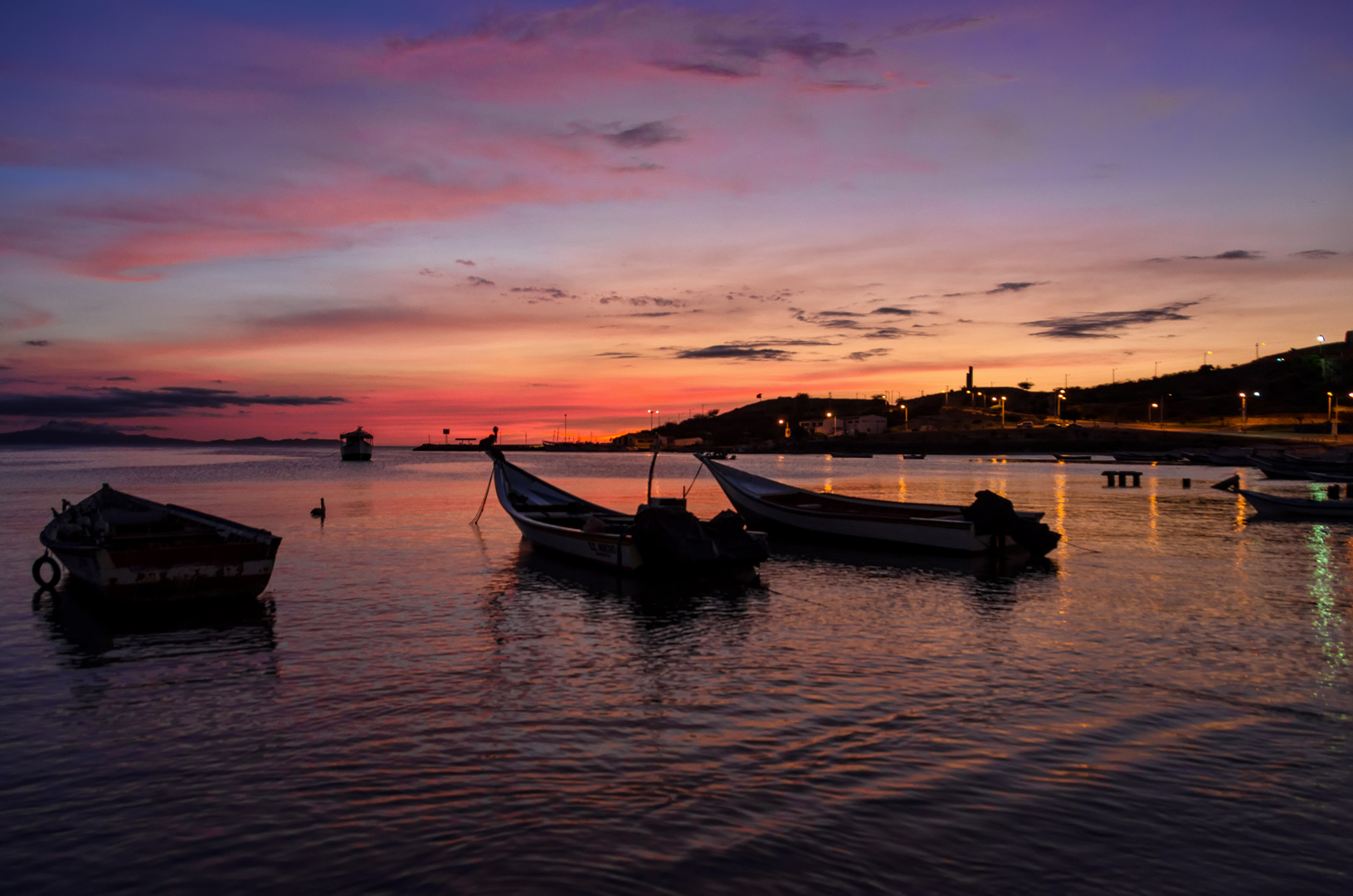 Bahia Puerpura