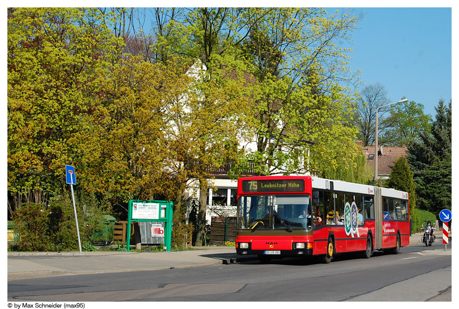 BAHN fährt Bus