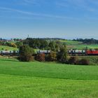 Bahn frei für Ihren Müll!