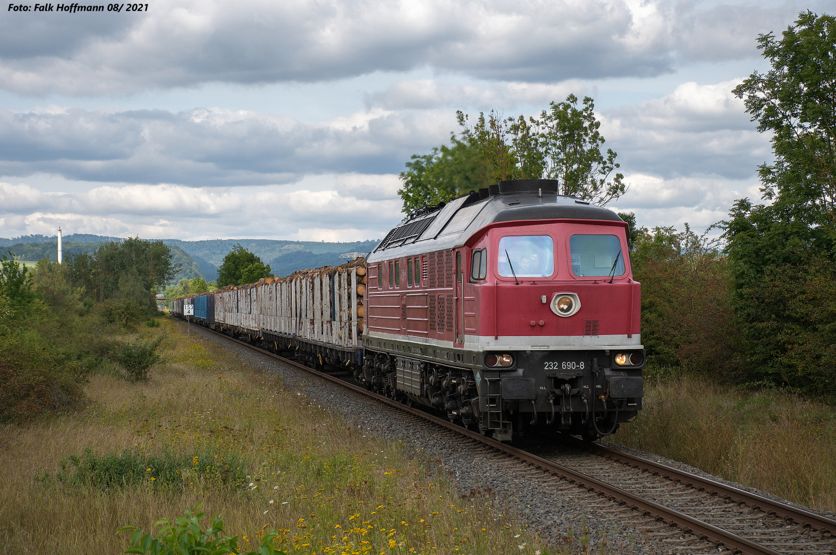 Bahn frei fürs Holz