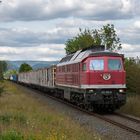 Bahn frei fürs Holz