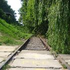 Bahn gegen Natur