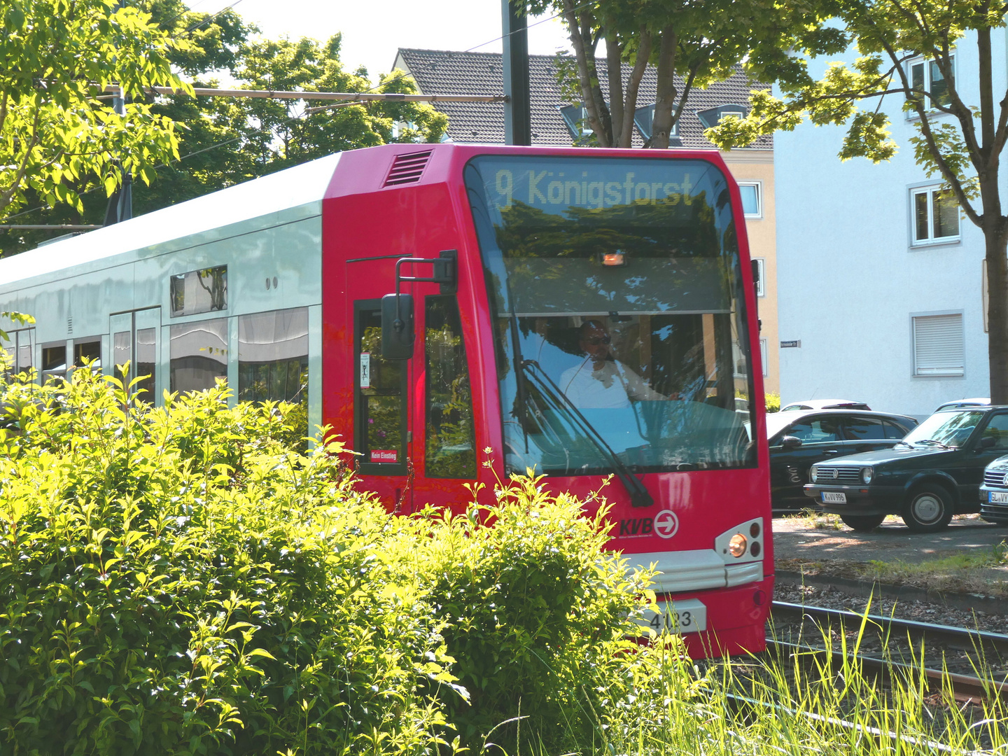 Bahn im Gebüsch