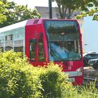 Bahn im Gebüsch